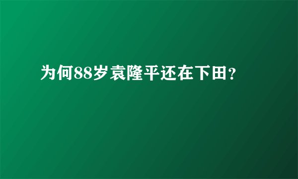 为何88岁袁隆平还在下田？