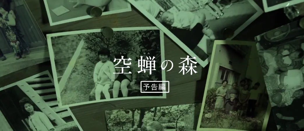 酒井法子主演电影《空蝉之森》新预告 2月5日上映