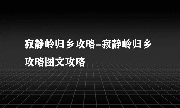寂静岭归乡攻略-寂静岭归乡攻略图文攻略