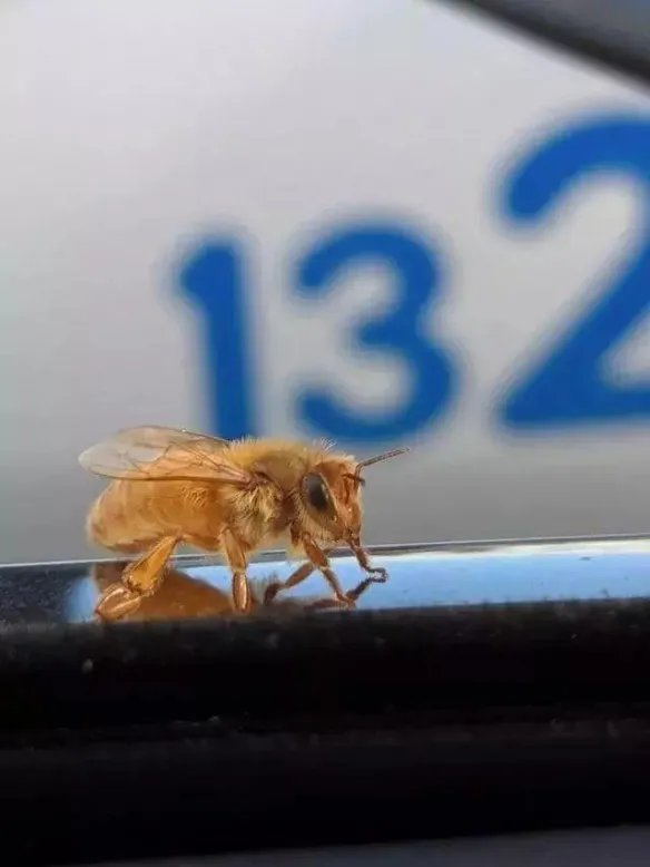 热带雨林惊现鲸鱼尸骨!27张千年一遇的神奇巧合照片