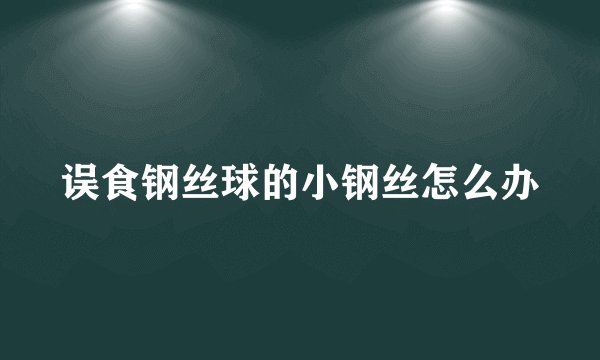 误食钢丝球的小钢丝怎么办