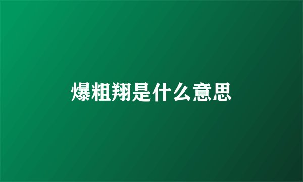 爆粗翔是什么意思