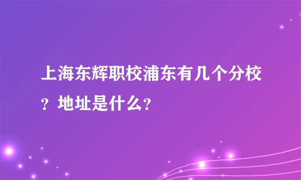 上海东辉职校浦东有几个分校？地址是什么？