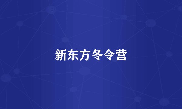 新东方冬令营