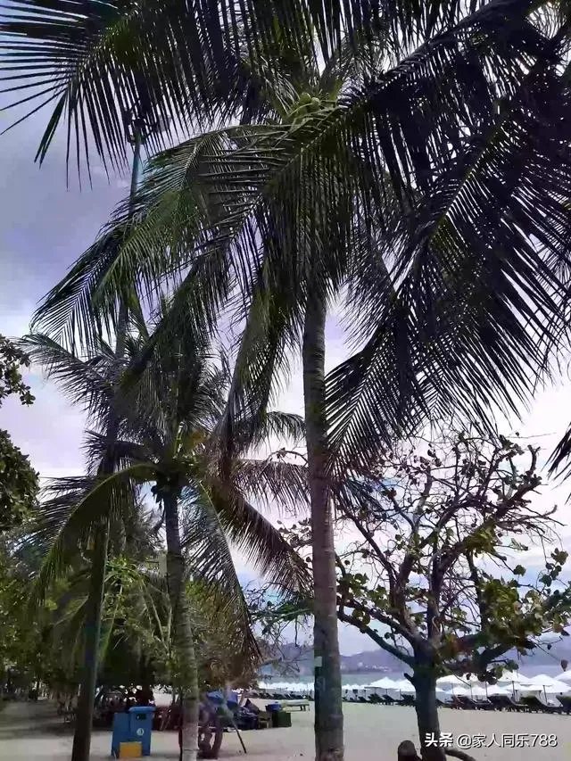 把车开到没人的地方走走还需要戴口罩吗?