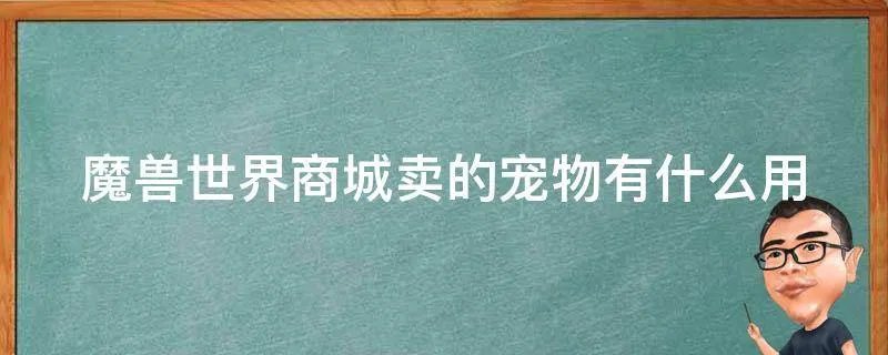 魔兽世界商城卖的宠物有什么用