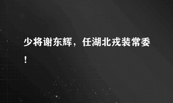 少将谢东辉,任湖北戎装常委!