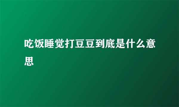 吃饭睡觉打豆豆到底是什么意思
