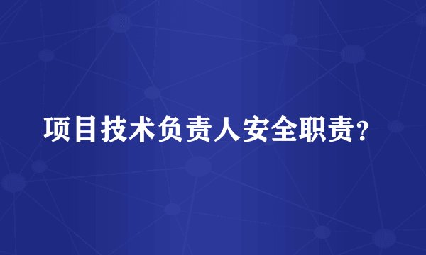 项目技术负责人安全职责？