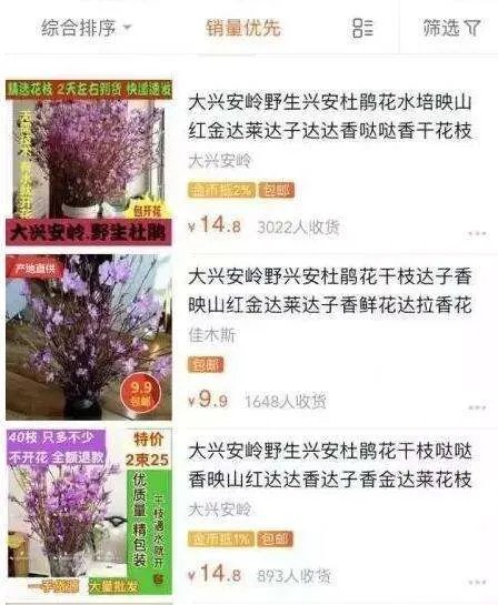 杜鹃花刷爆朋友圈,为何被告诫勿再买?