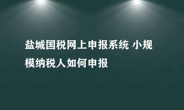 盐城国税网上申报系统 小规模纳税人如何申报