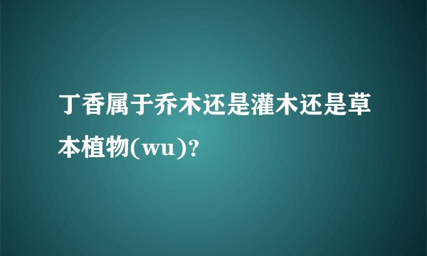 丁香属于乔木还是灌木还是草本植物(wu)？