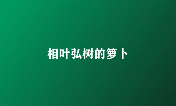 相叶弘树的箩卜