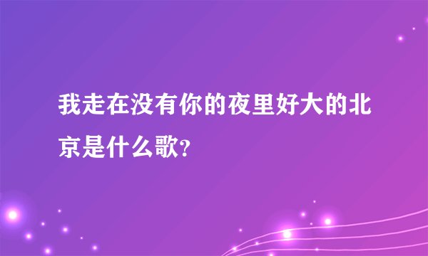 我走在没有你的夜里好大的北京是什么歌?
