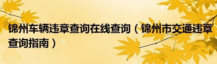 锦州车辆违章查询在线查询（锦州市交通违章查询指南）