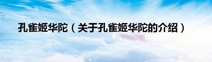 孔雀姬华陀（关于孔雀姬华陀的介绍）