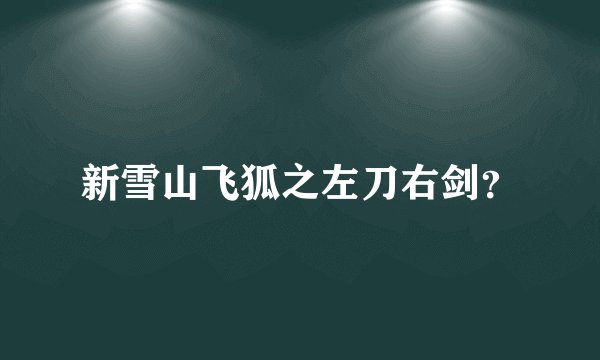 新雪山飞狐之左刀右剑？
