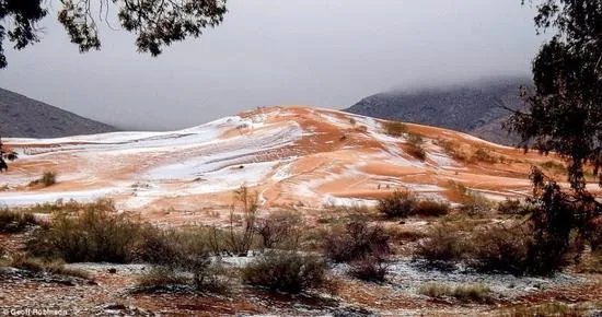 撒哈拉沙漠积雪是怎么回事?