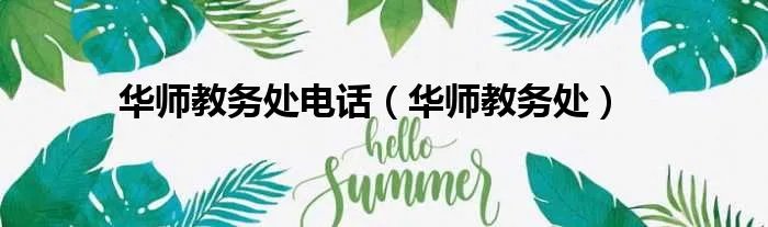 华师教务处电话（华师教务处）