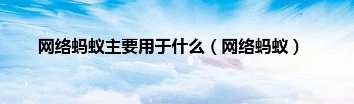 网络蚂蚁主要用于什么(网络蚂蚁)