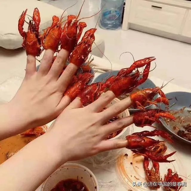 “人民网四问”后,迪士尼硬气回应:“不接受调解、不更改规定”,你怎么看?