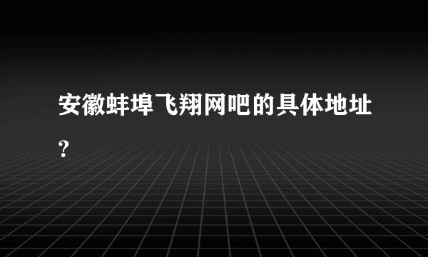 安徽蚌埠飞翔网吧的具体地址？