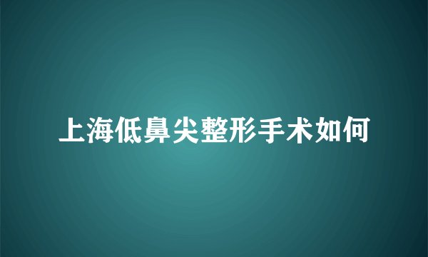 上海低鼻尖整形手术如何