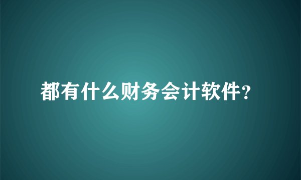 都有什么财务会计软件？
