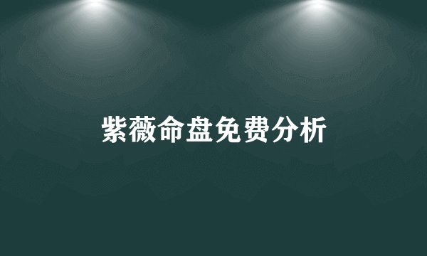 紫薇命盘免费分析