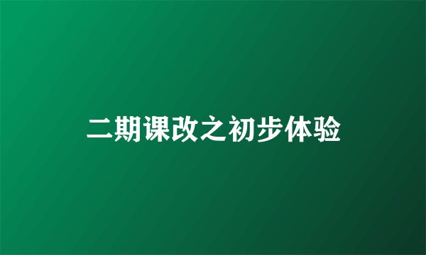 二期课改之初步体验