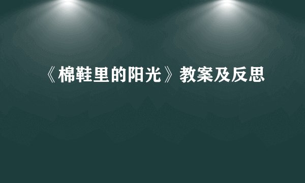 《棉鞋里的阳光》教案及反思
