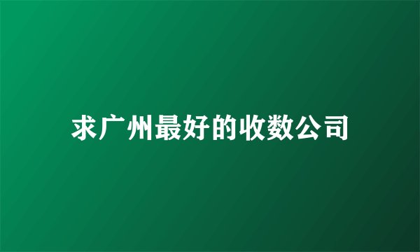 求广州最好的收数公司
