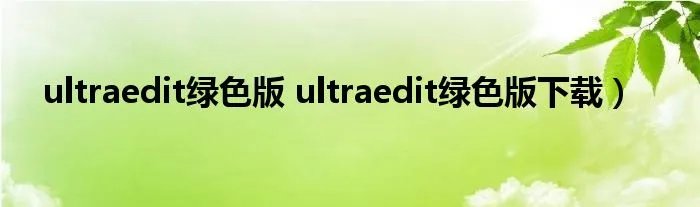 ultraedit绿色版 ultraedit绿色版下载)