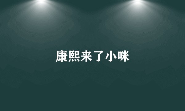 康熙来了小咪