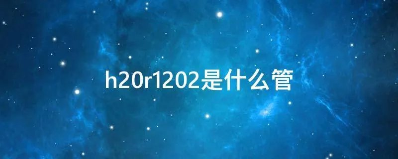 h20r1202是什么管