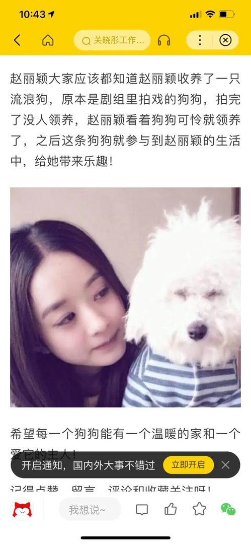杨晓芸骗捐