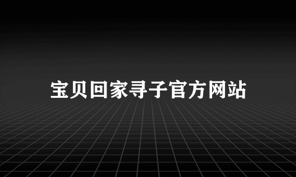 宝贝回家寻子官方网站