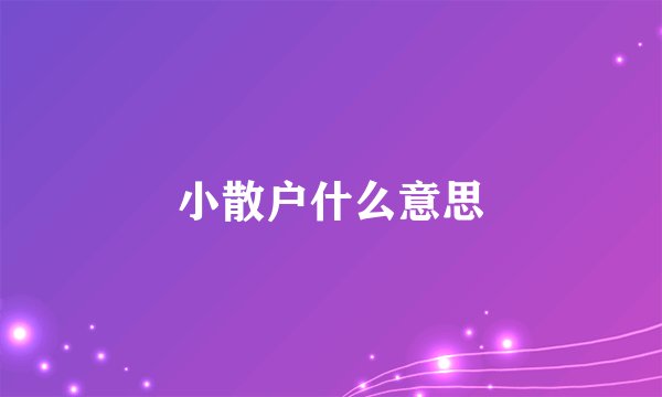 小散户什么意思