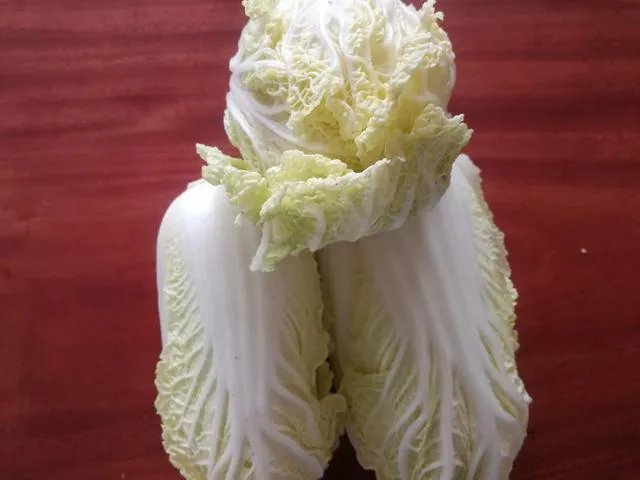 蔬菜饺子馅的调制方法?