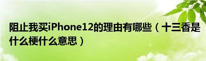 阻止我买iPhone12的理由有哪些（十三香是什么梗什么意思）