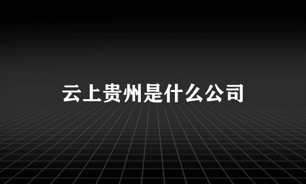 云上贵州是什么公司