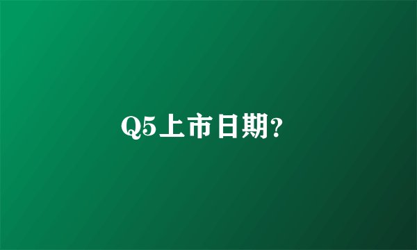 Q5上市日期?
