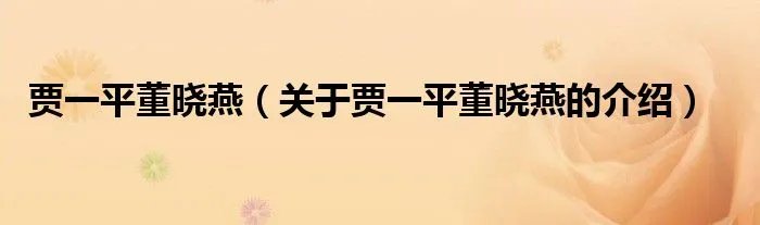 贾一平董晓燕（关于贾一平董晓燕的介绍）