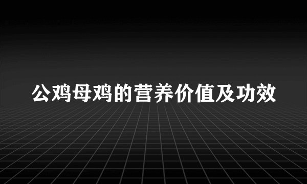 公鸡母鸡的营养价值及功效