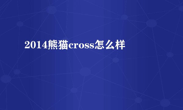 2014熊猫cross怎么样