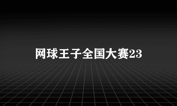 网球王子全国大赛23