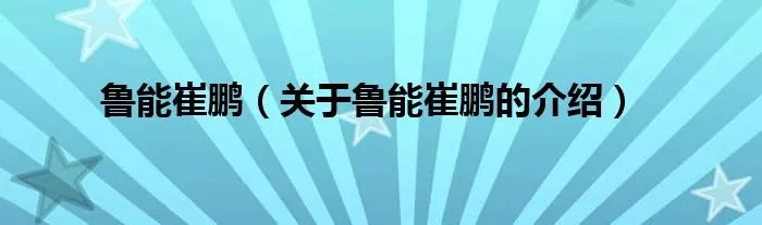 鲁能崔鹏（关于鲁能崔鹏的介绍）