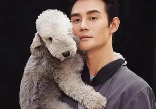 杨晓芸骗捐