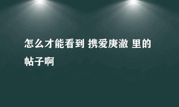 怎么才能看到 携爱庚澈 里的帖子啊