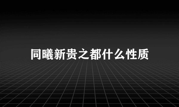 同曦新贵之都什么性质